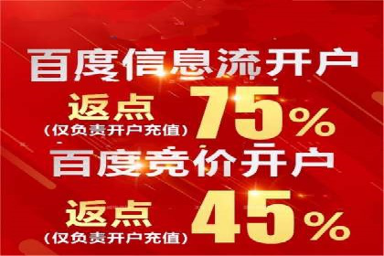 成功SEM托管代运营案例分析